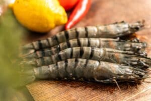 Gamba