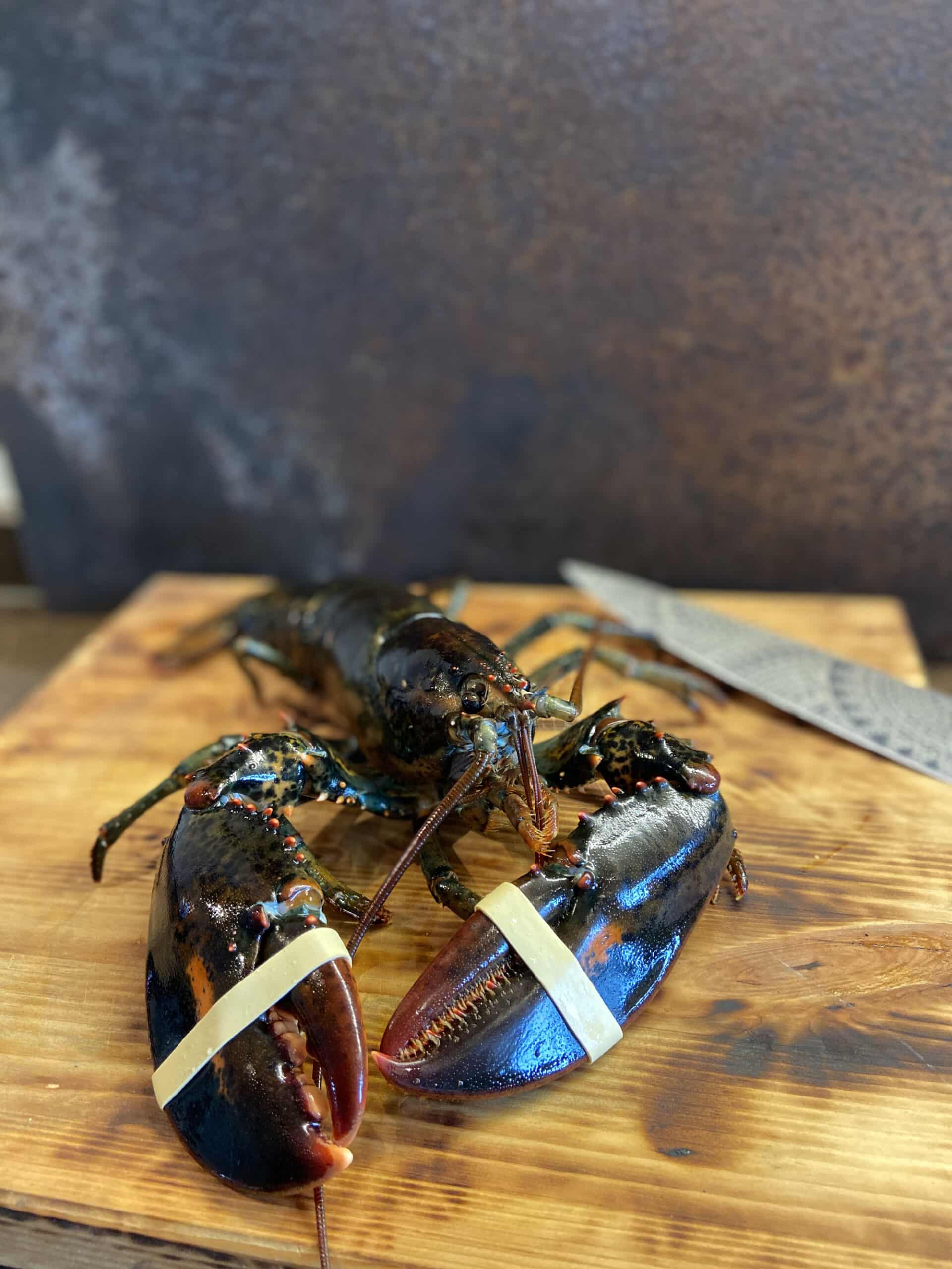 lobster roll bbq kamado recept 06 scaled - Lobster Roll