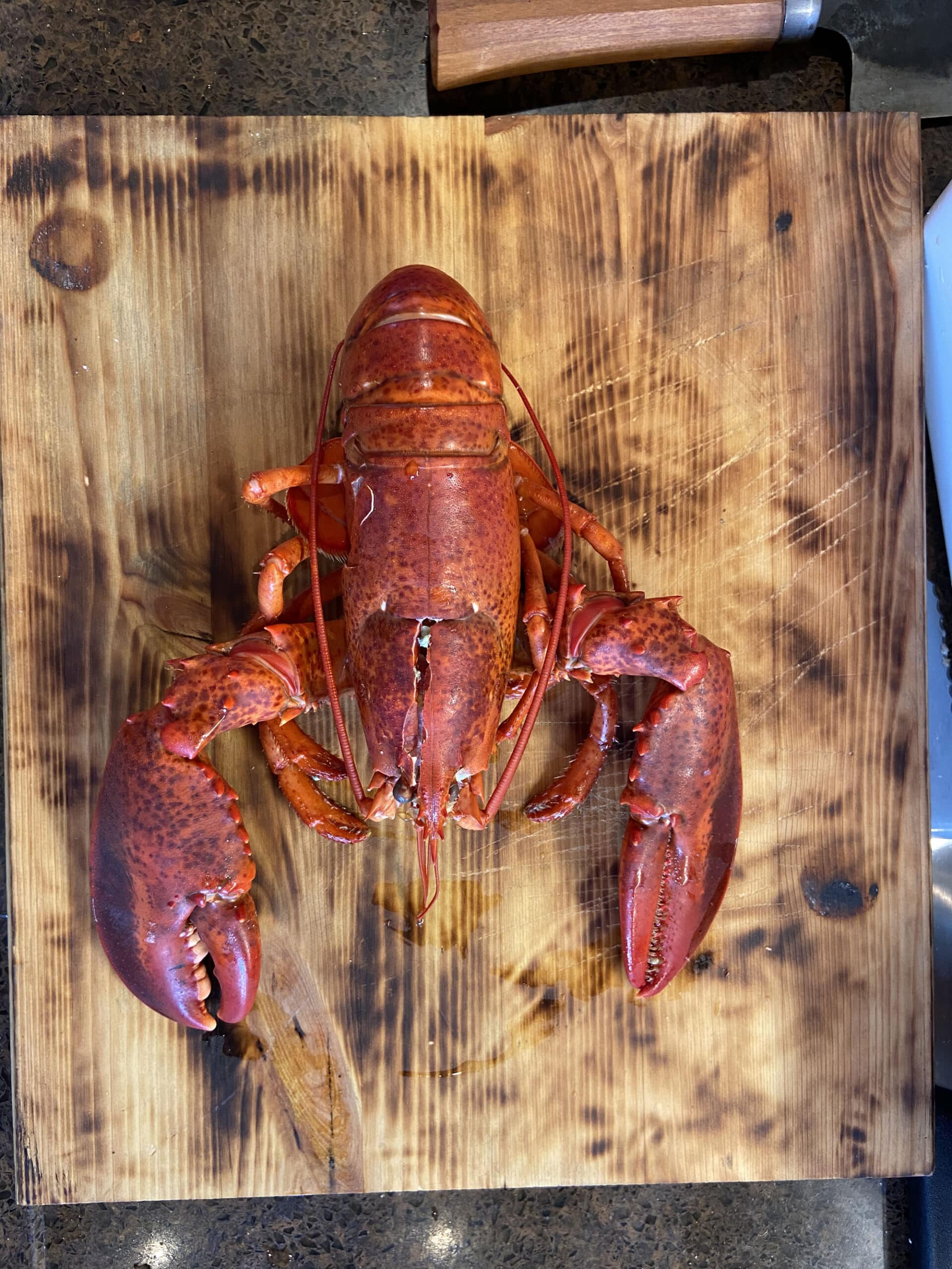 lobster roll bbq kamado recept 08 scaled - Lobster Roll