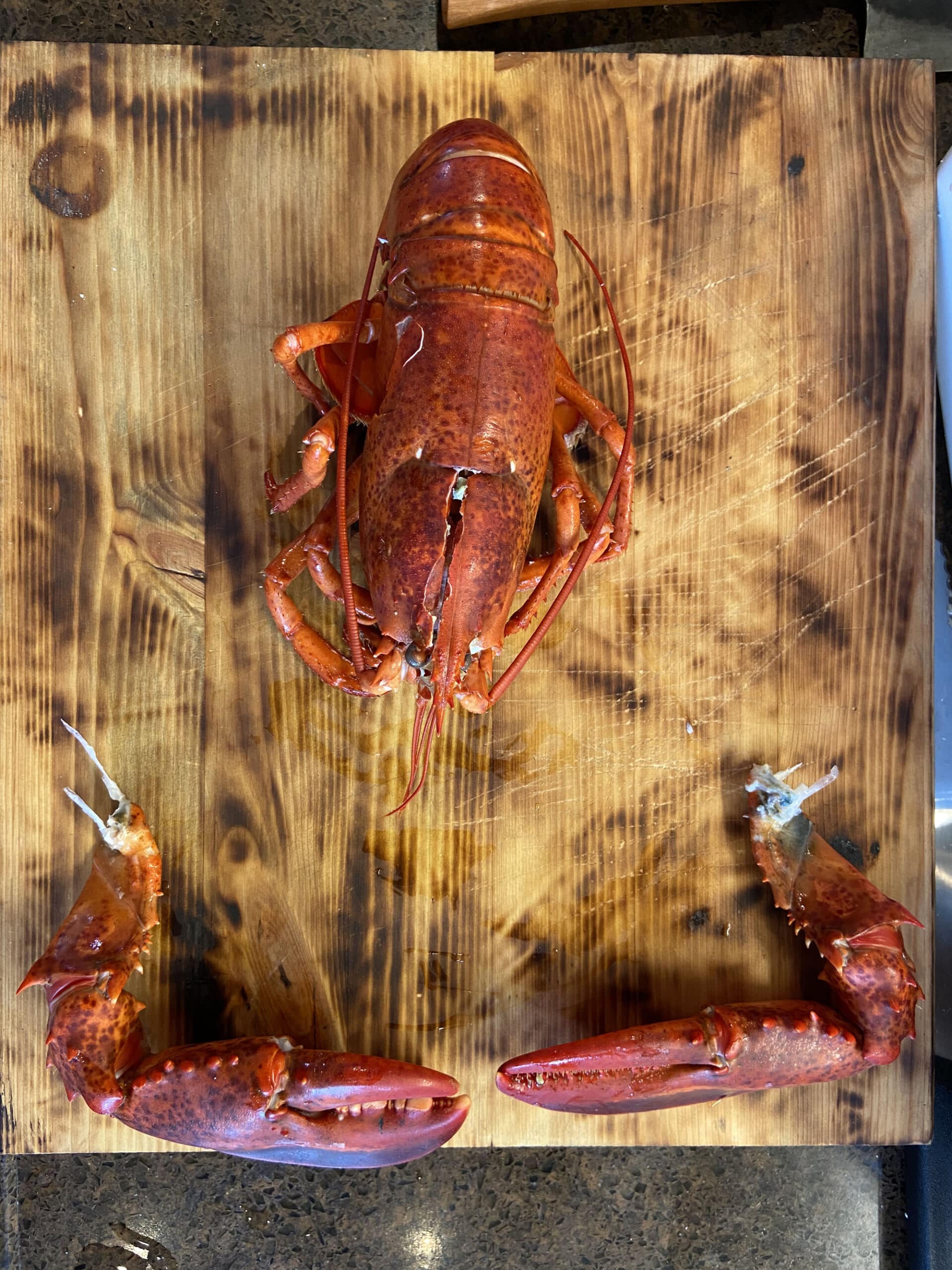 lobster roll bbq kamado recept 09 scaled - Lobster Roll
