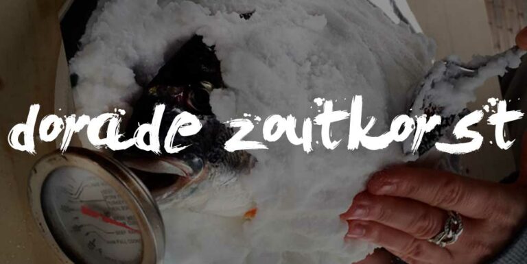 big green egg recept dorade zoutkorst - Dorade in zoutkorst