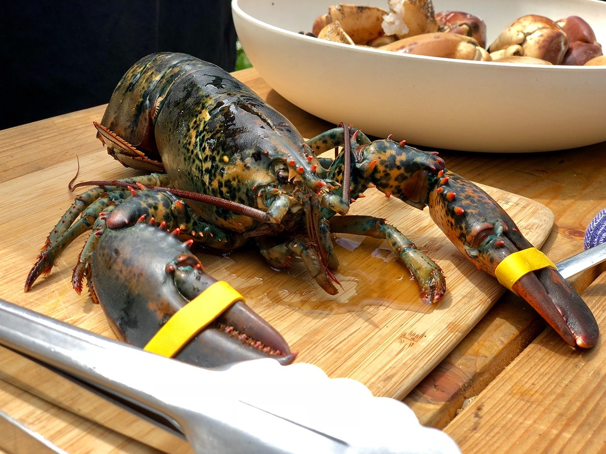 kamado bbq big green egg recept kreef olijfhout 7 - Kreeft gerookt op olijfhout