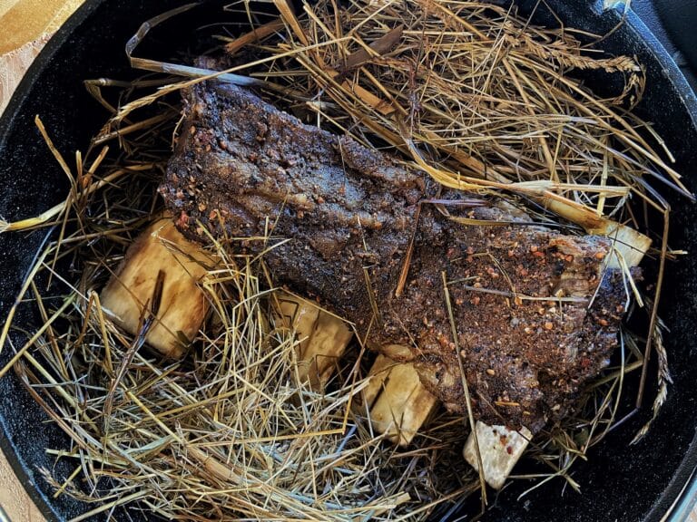 shortribs hooi dutch oven bbq recept kamado IMG 5660 - Short ribs in hooi